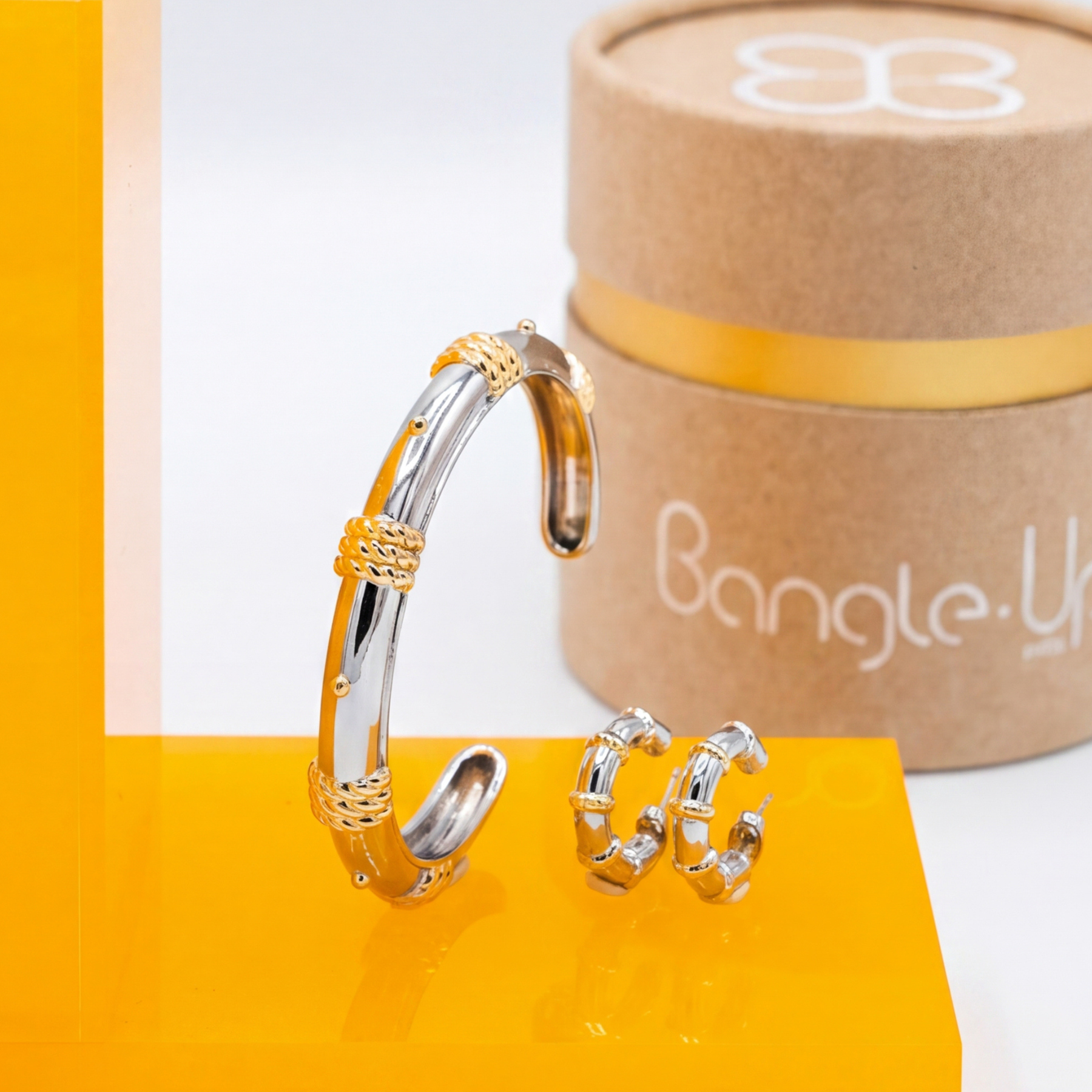 Coffret jonc et boucles d'oreilles Eole - Bicolore