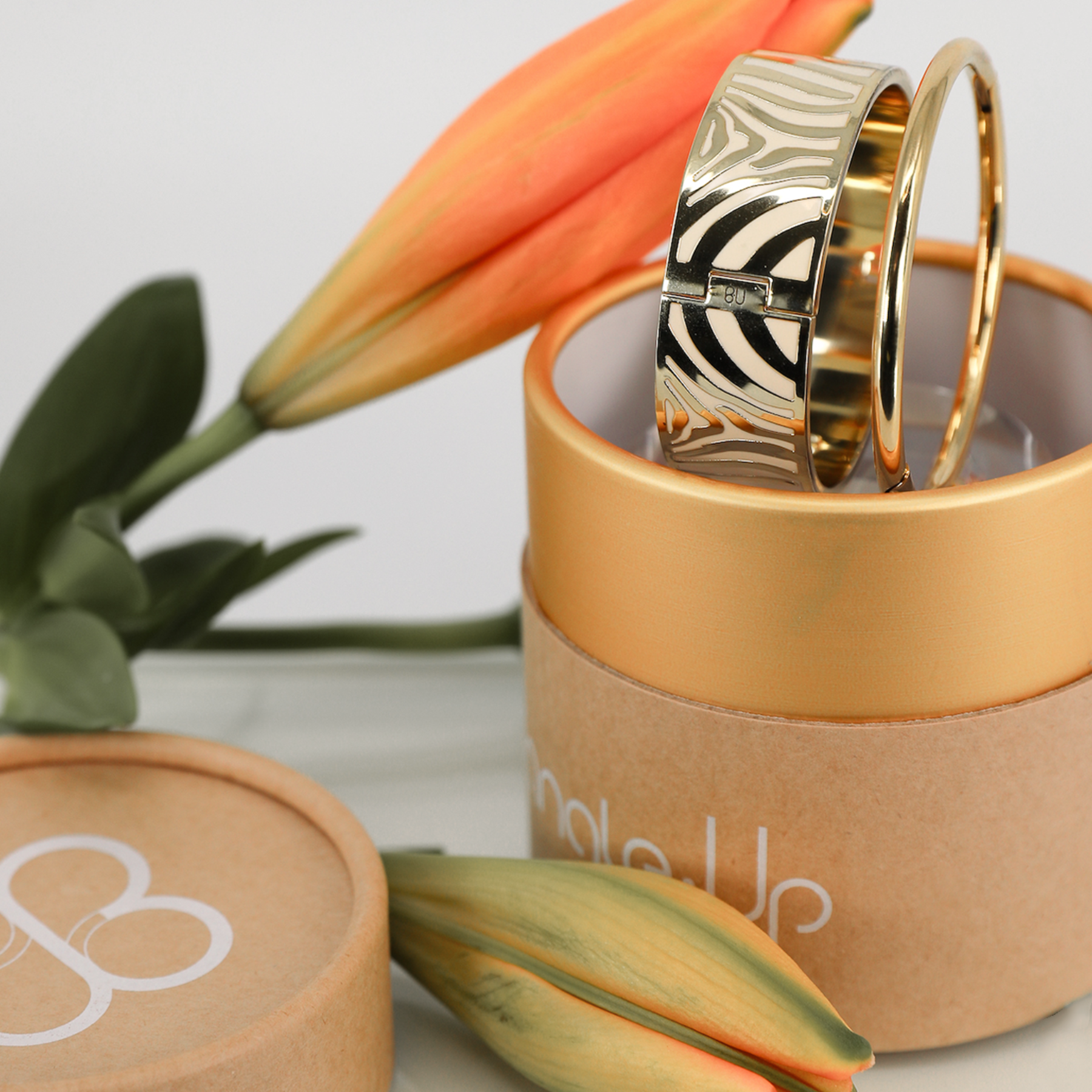 Coffret Bracelet Zebra et Bracelet AN-O - Or light